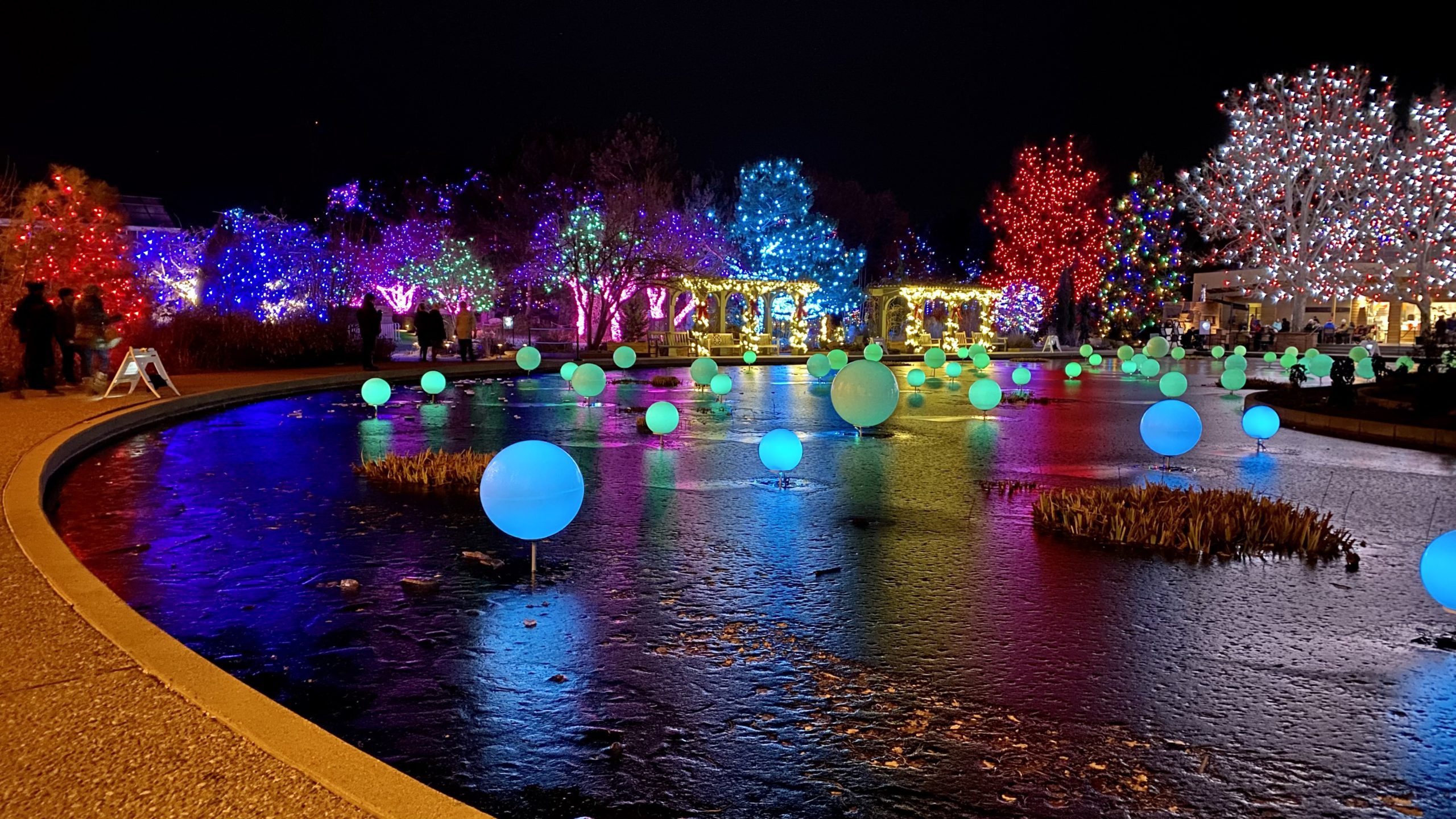 Blossoms of Light at Denver Botanic Gardens Double Snuggle